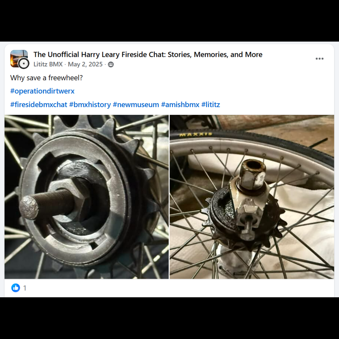 The May 2, 2025 post asking why the bicycle’s original freewheel should be saved.