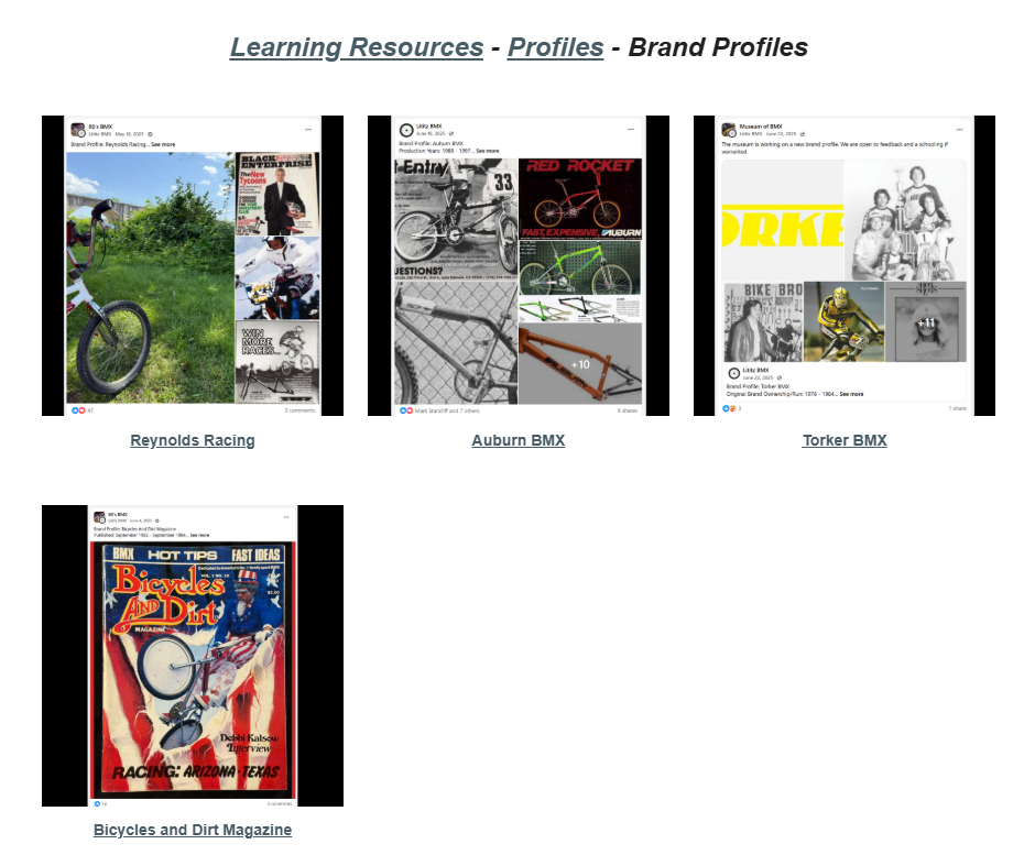 Brand Profiles visual index