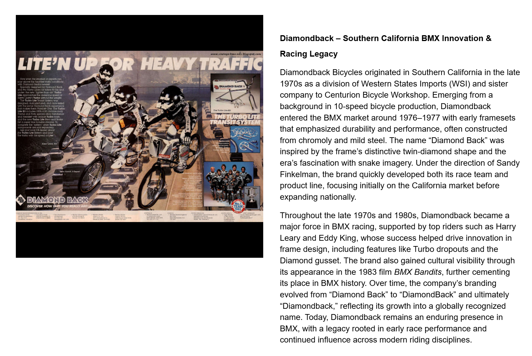 Full archived capture of the Diamondback Interactive BMX Word Search learning page
