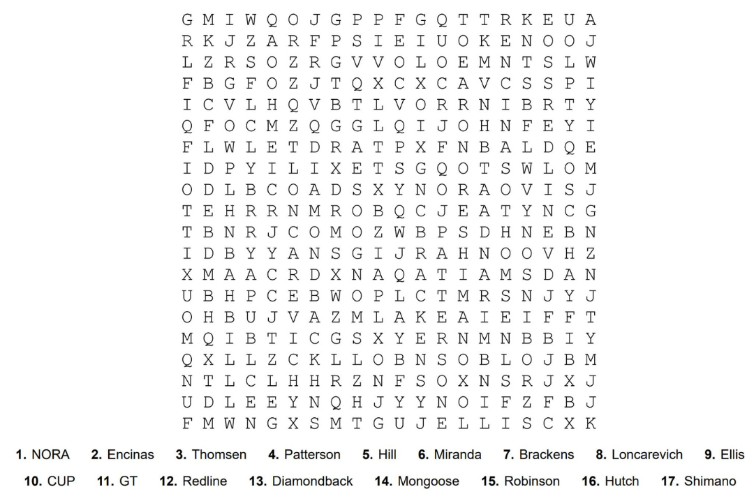 Interactive BMX Word Search master puzzle